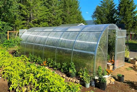 greenhouse remotasks